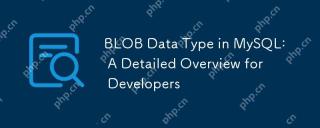 BLOB Data Type in MySQL: A Detailed Overview for Developers