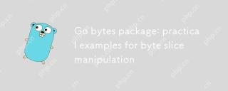 Go Bytes软件包:字节切片操纵的实例