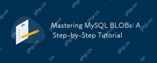 掌握mysql blobs:逐步教程