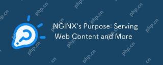 NGINX的目的:服务Web内容等