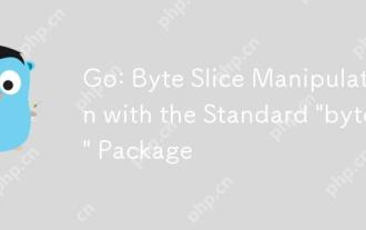 GO: Manipulation de tranche d'octets avec le package 'octets' standard