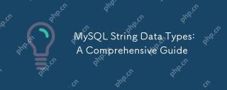 Jenis Data String Mysql: Panduan Komprehensif