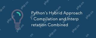Python的混合方法:編譯和解釋合併