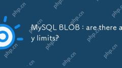 mysql blob：制限はありますか？