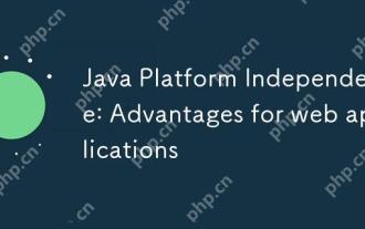 Java Platform Independence: Advantages for web applications