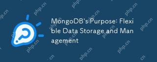 MongoDB's Purpose: Flexible Data Storage and Management