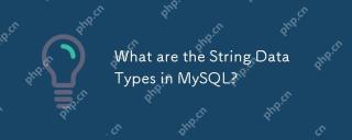 What are the String Data Types in MySQL?