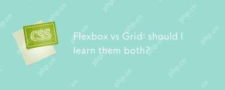 Flexbox vs Grid: Sekiranya saya belajar kedua -duanya?