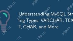 了解MySQL字符串類型：VARCHAR，文本，char等