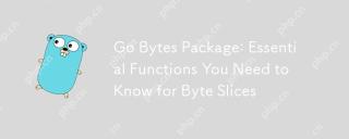 Package GO BYTES: fonctions essentielles que vous devez connaître pour les tranches d'octets