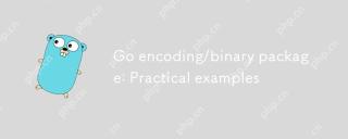 GO ENODING / Package binaire: Exemples pratiques