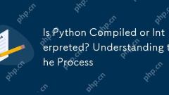 Is Python Compiled or Interpreted? Understanding the Process