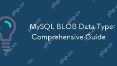 MySQL BLOB數據類型:綜合指南