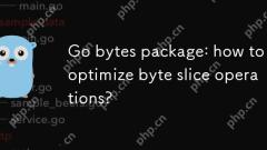 Go Bytes軟件包:如何優化字節切片操作?