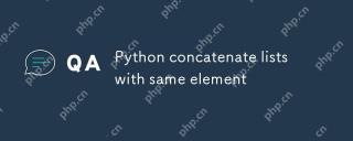 동일한 요소를 가진 Python Concatenate 목록