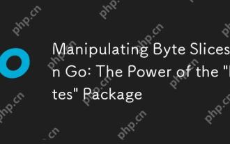Manipuler les tranches d'octets en Go: la puissance du package 'octets'