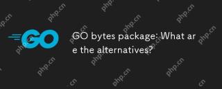 Go Bytes Paket: Was sind die Alternativen?