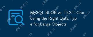 MySQL Blob 대 텍스트 : 큰 개체에 대한 올바른 데이터 유형 선택