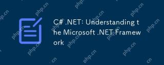 C#.NET:了解Microsoft .NET框架