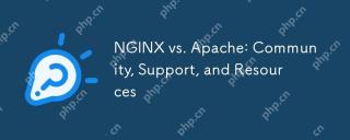 Nginx vs Apache: Komuniti, Sokongan, dan Sumber