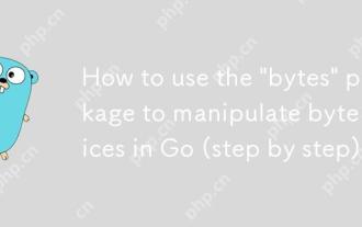 Cara Menggunakan Pakej 'Bytes' untuk memanipulasi kepingan byte di Go (langkah demi langkah)