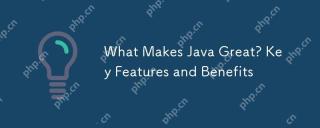 What Makes Java Great? Key Features and Benefits