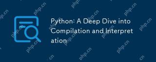 Python:深入研究彙編和解釋