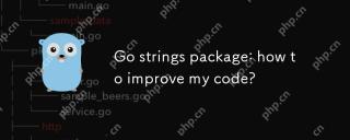 Go Strings軟件包:如何改進我的代碼?