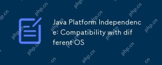 Java Platform Independence: Compatibility with different OS
