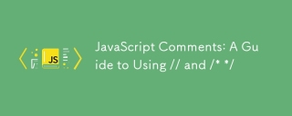 JavaScript评论:使用//和 / * * / * / * /