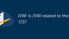 JVM: Ist JVM mit dem Betriebssystem verwandt?