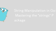 String Manipulation in Go: Beherrschen des 'Strings' -Pakets