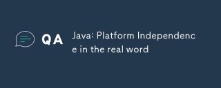 Java: Platform Independence in the real word