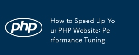 How to Speed Up Your PHP Website: Performance Tuning