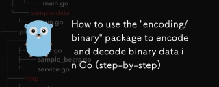 How to use the 'encoding/binary' package to encode and decode binary data in Go (step-by-step)