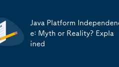 Kemerdekaan Platform Java: Mitos atau Realiti? Dijelaskan