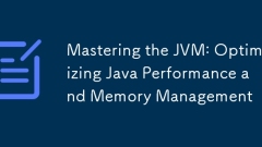 Menguasai JVM: Mengoptimumkan Prestasi Java dan Pengurusan Memori