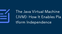 The Java Virtual Machine (JVM): How It Enables Platform Independence