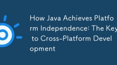 How Java Achieves Platform Independence: The Key to Cross-Platform Development