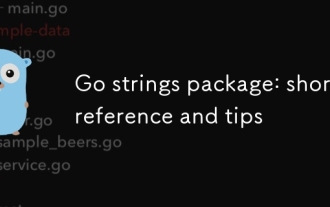 Go strings package: short reference and tips