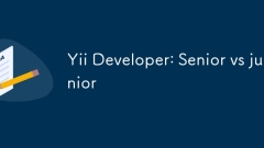Yii Developer: Senior vs junior