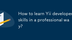 How to learn Yii developer skills in a professional way?