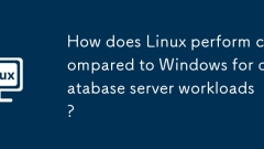 Bagaimanakah Linux berfungsi berbanding dengan Windows untuk beban kerja pelayan pangkalan data?