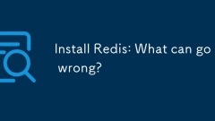Redis ?? : ??? ?? ? ? ?????
