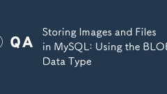 MySQL? ??? ? ?? ?? : Blob ??? ?? ??