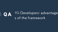 Yii Developers: advantages of the framework