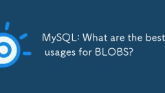 MySQL : Blobs? ?? ??? ???? ??????