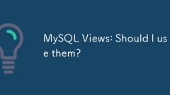 MySQL?? : ????????