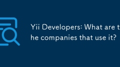 Yii Developers: What are the companies that use it?