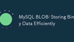 MySQL Blob : ?? ???? ????? ?????
